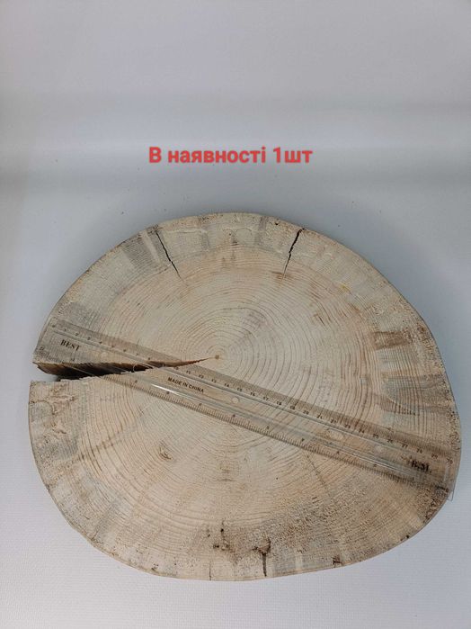 Спил сосни звичайної