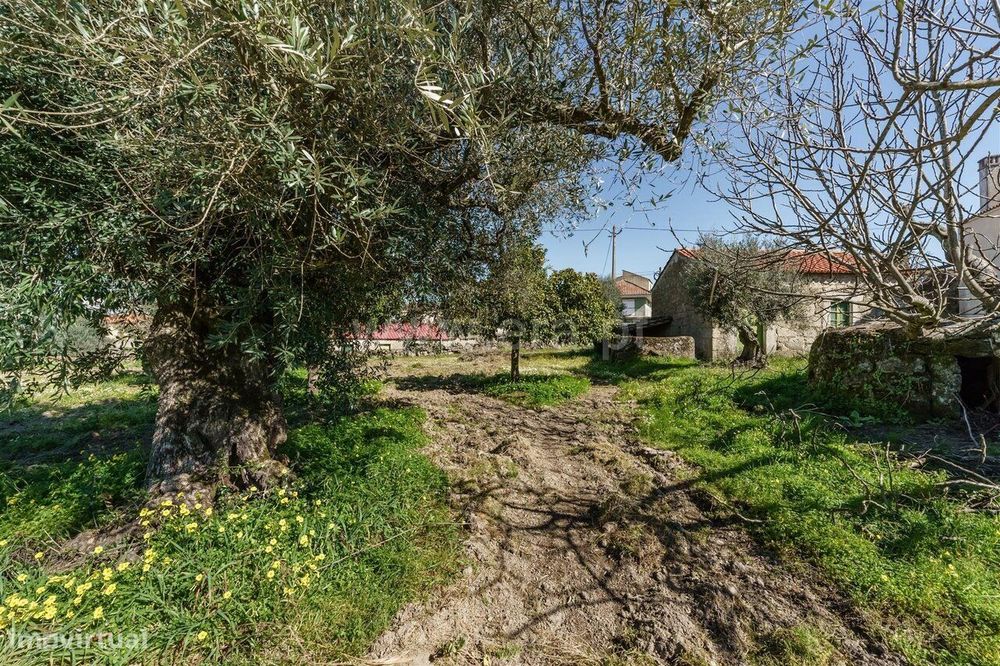 Terreno / Fundão, Martianas