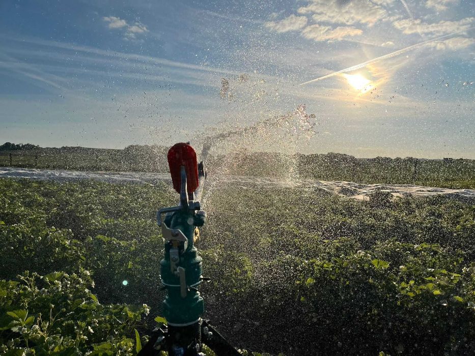 Zraszacz działko pulsacyjne deszczownia promień 28-35m Fa. Vat