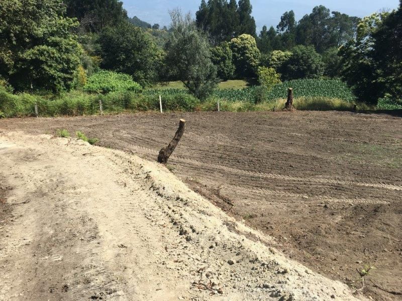Terreno com ruina para reconstrução