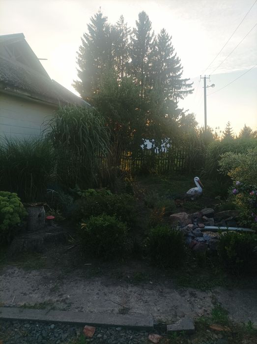 Продам будинок с. Людовка