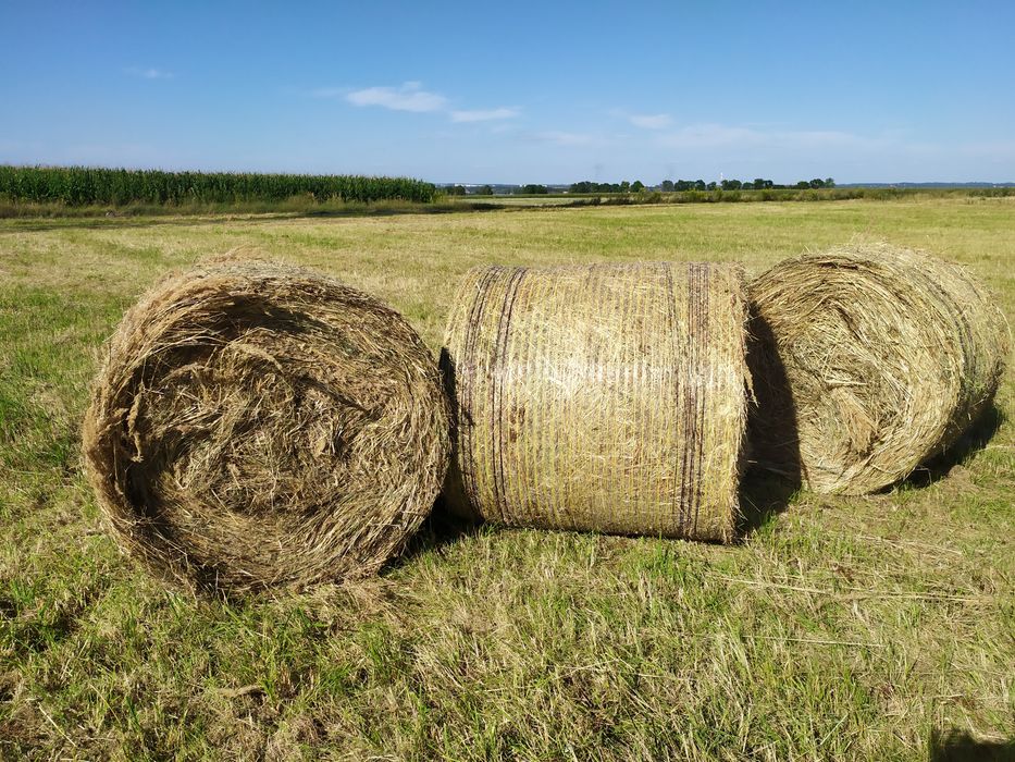 Baloty siana S zbiór 2025