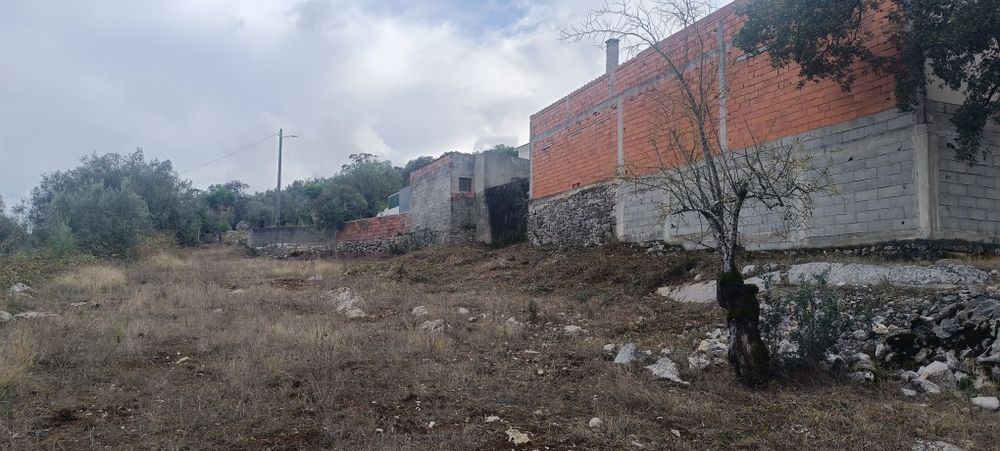 Terreno urbano no PNSAC – 1.525 m² | Alcanede | Sossego e Natureza