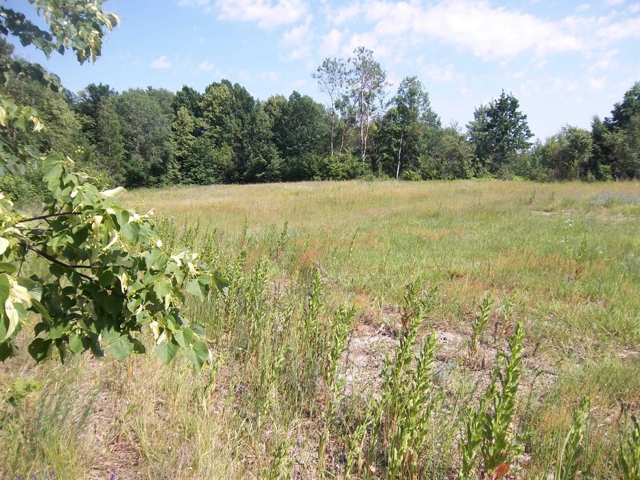 Продам приватизовану земельну ділянку