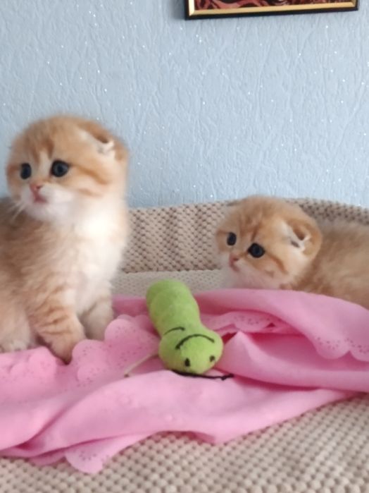 І буде Вам щастячко