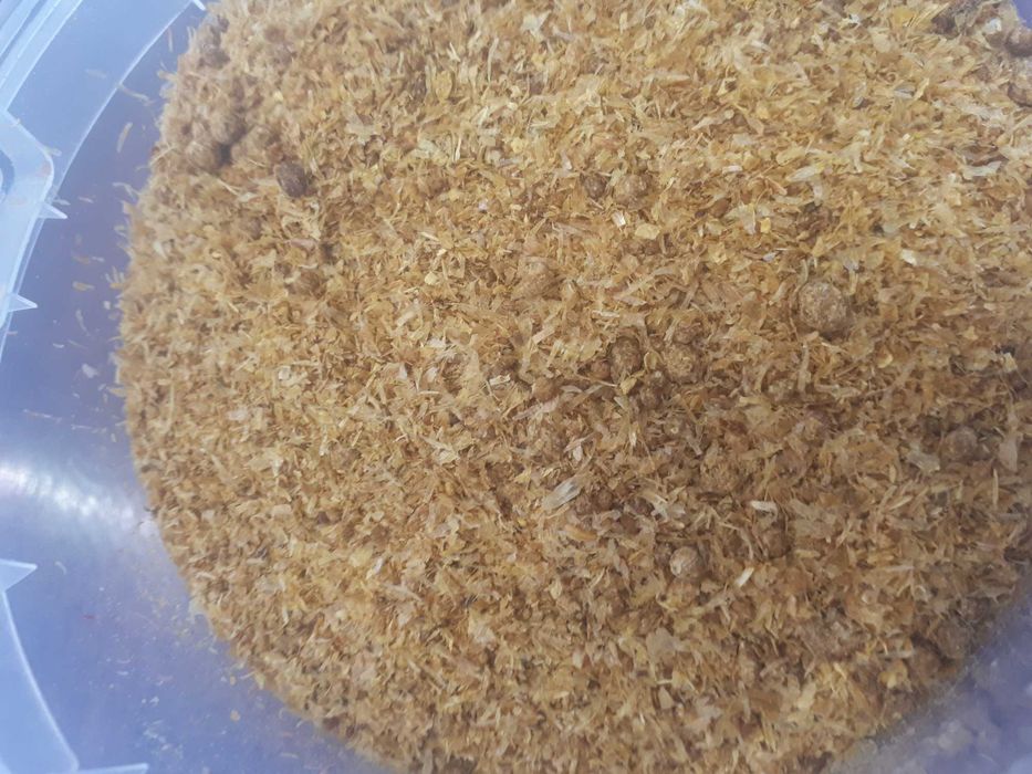 Białko dla krów min 27%. DDGS kukurydziany wywar gorzelniany