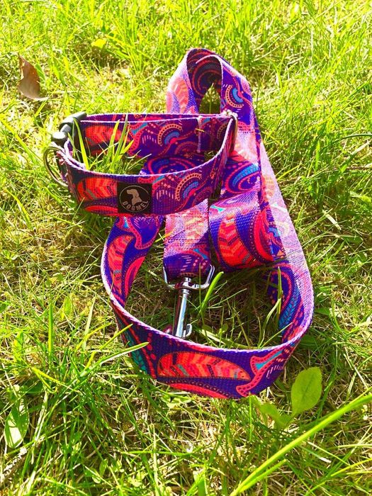 ZESTAW obroża + smycz DOGMEL 250 cm, szer. 3 cm fiolet