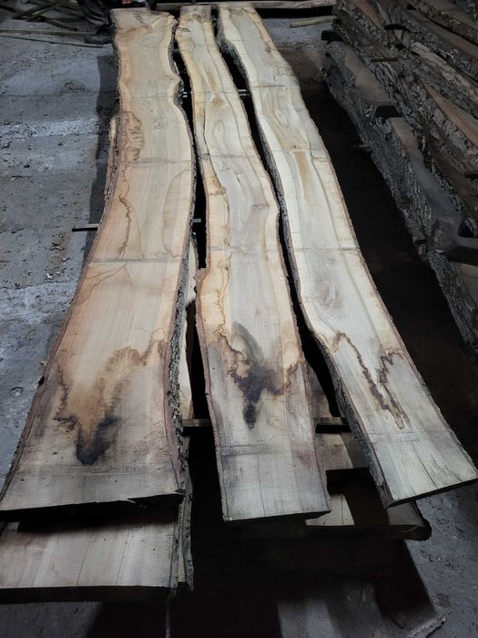 Orzech Włoski, Orzech Europejski, deski orzechowe, tarcica orzechowa