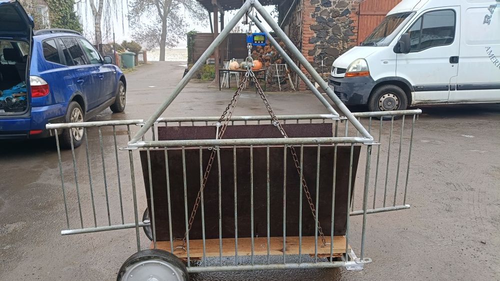 Poskrom, waga dla Owiec