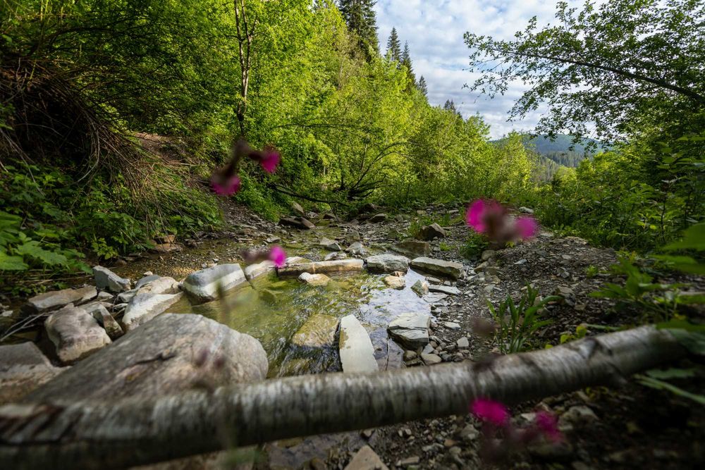 Земельна ділянка на межі м. Яремче та с. Микуличин 140 соток