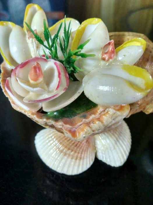 Красивая ракушка в аквариум