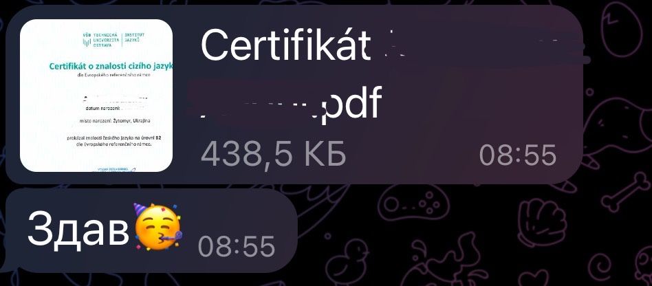 Репетитор чеської мови. Консультації щодо вступу в Чехію.