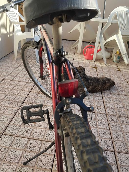 Bicicleta para desocupar