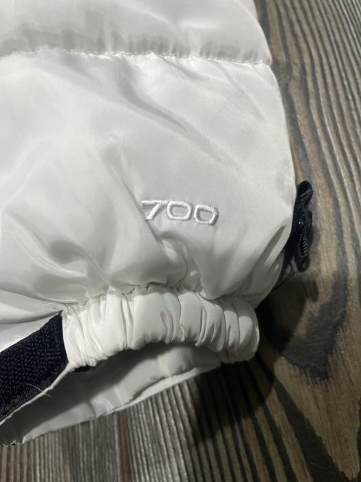 Пуховик The North Face 700
