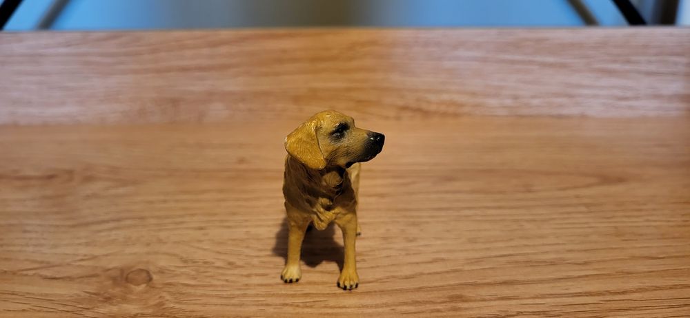 Procon collecta pies Golden retriver figurka model wycofany