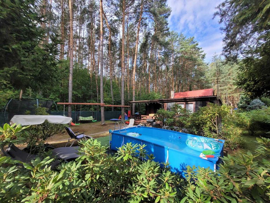 Prywatny raj w Tuszynie! Działka pod samym lasem + brama na pilota