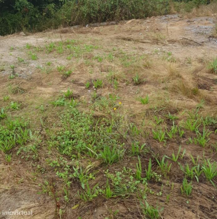 Rustic Land Plot 5787 m²