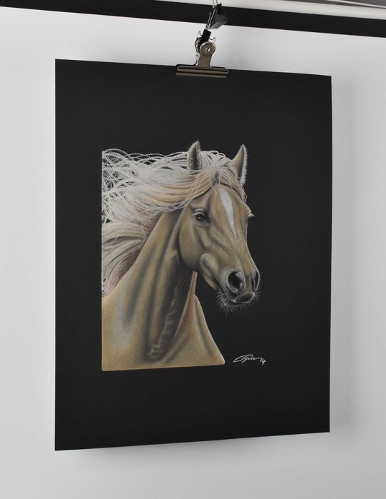 Quadro desenhado a Pastel seco "O Cavalo"