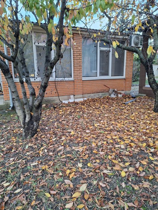 Дом по адресу Люстдорфская дор. (площадь 50 м²) - Atlanta.ua - фото 8