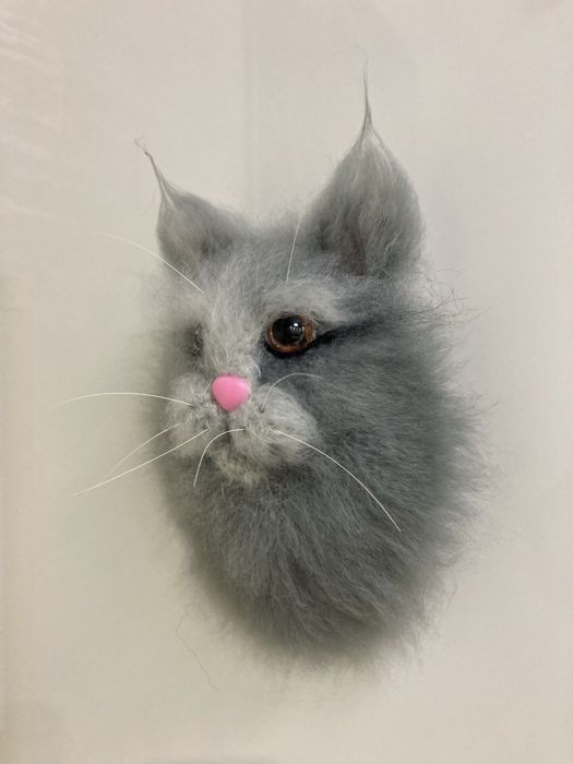 Мордочка котика