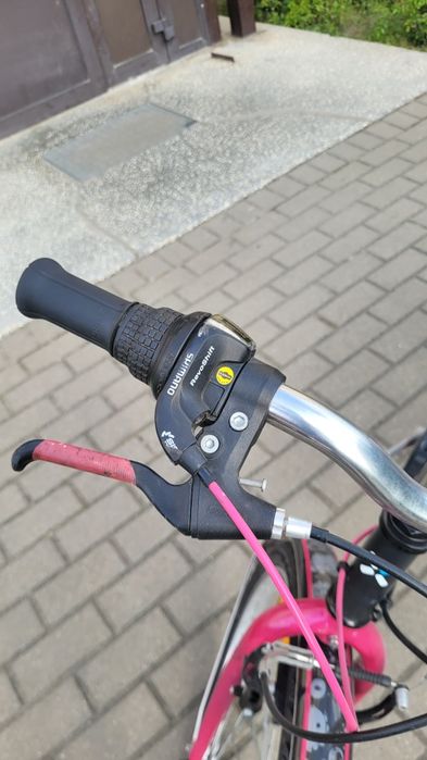 Bitwin poply 500 koła 24"