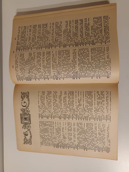 Dicionário da Língua Portuguesa