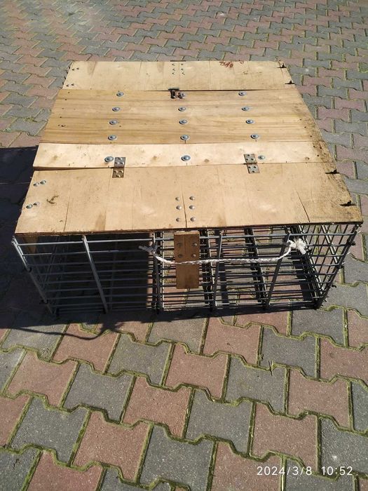 klatka na króliki