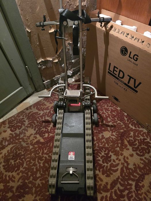 Schodołaz gąsiennicowy