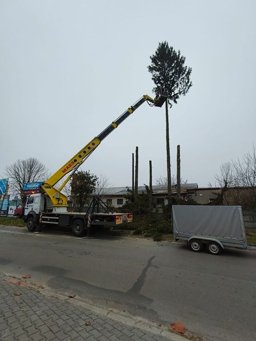 Wycinka/Podcinka drzew