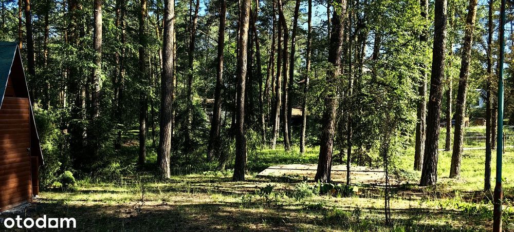 Działka 1567 m² z potencjałem podziału – Żarki-Letnisko
