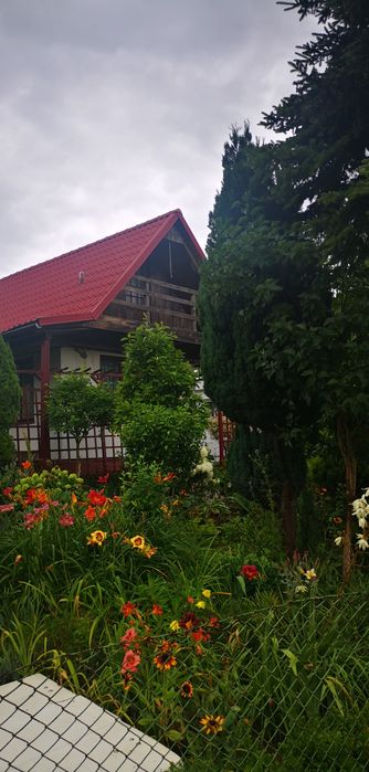 Działałka Rodo Nowe Życie