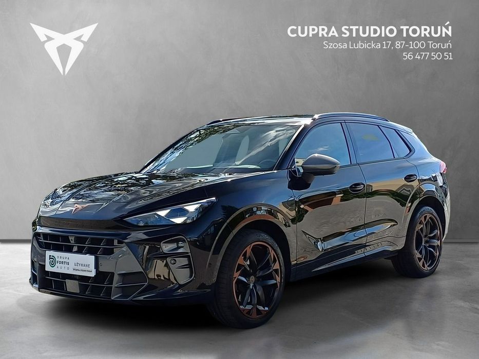 Cupra Terramar