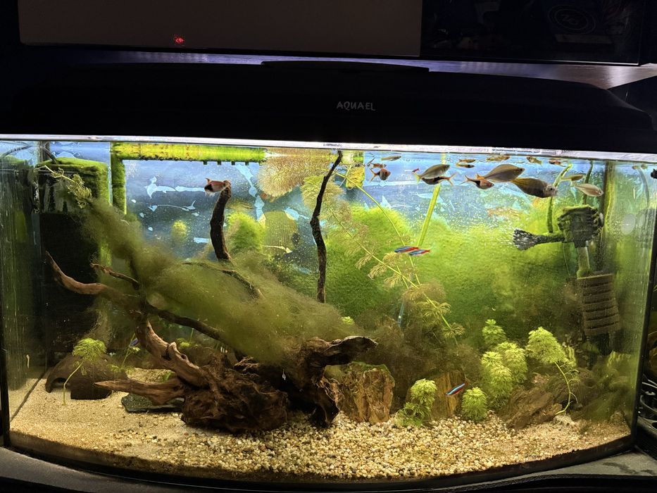 Akwarium panoramiczne 112l caly zestaw