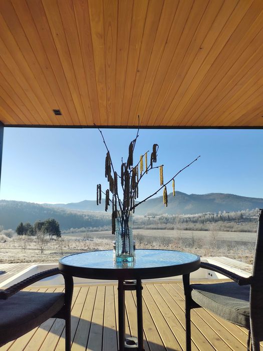 Шикарный сучасный котедж з мальовничими краєвидами гори Карпати є чан