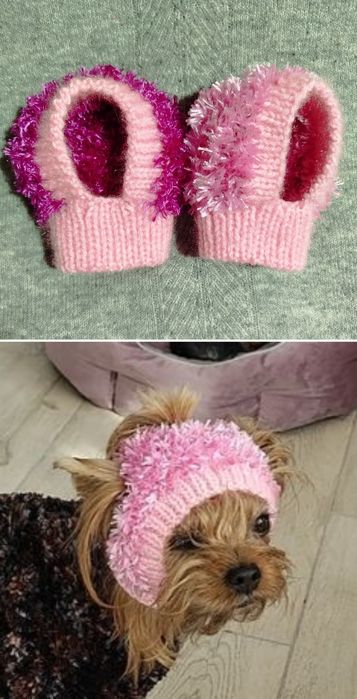 В'язані шапочки для собак невеликих порід