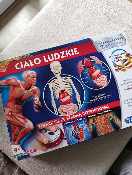 Clementoni Ciało ludzkie