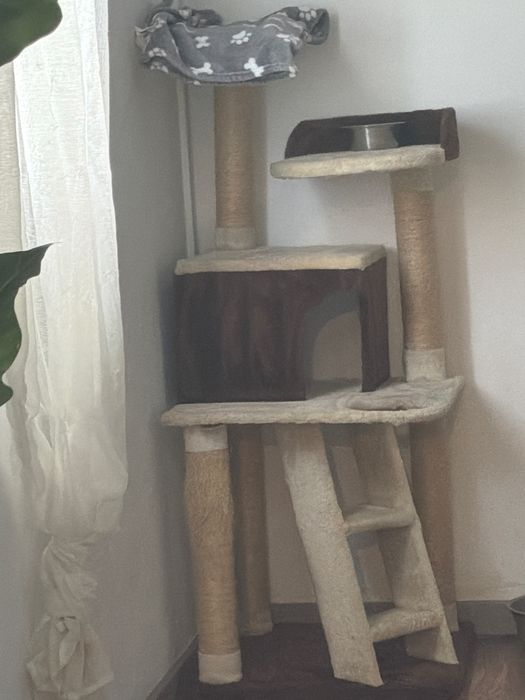 Arranhador de gato
