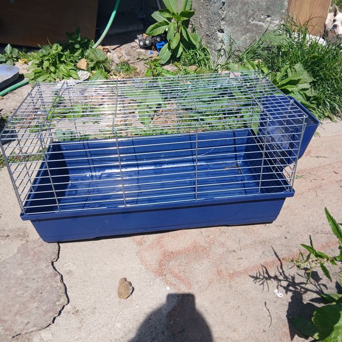 Vendo gaiola de coelhos