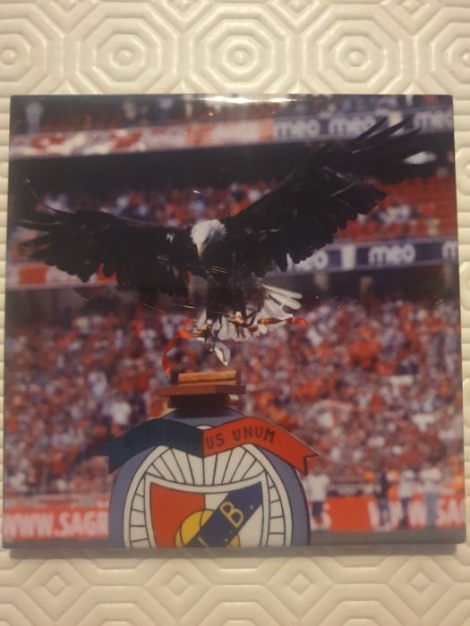 Azulejos Benfica Campeão