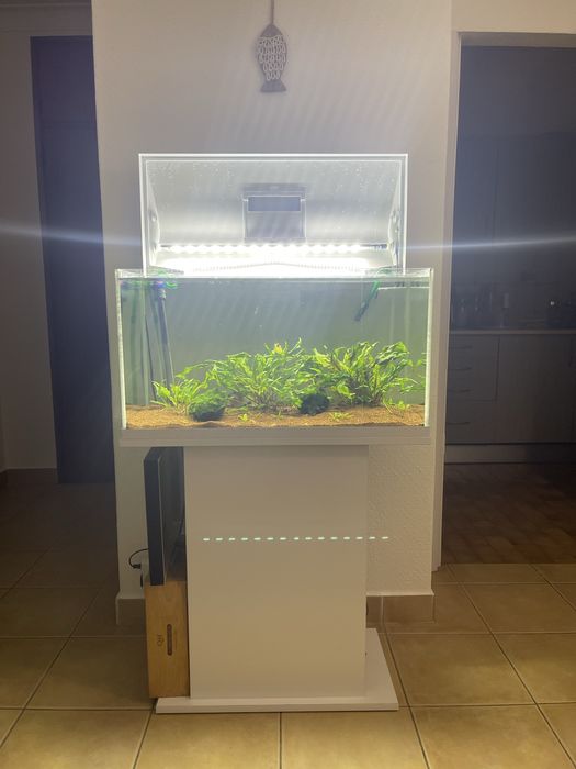 Aquario Aquael com movel 112L