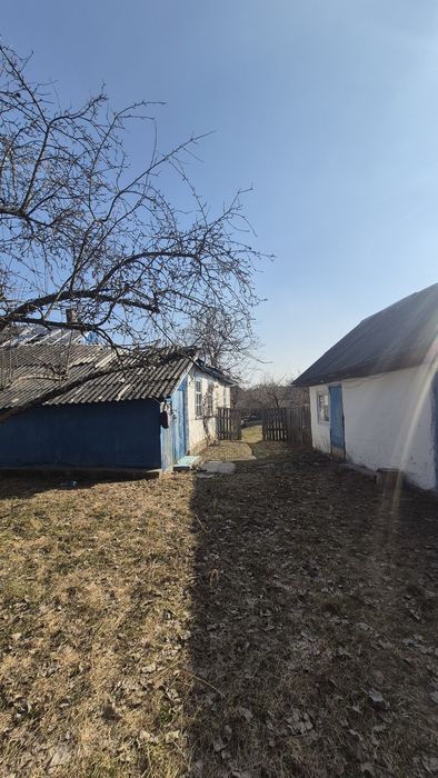 Бабинці-продам ділянку  15 сот з будівлями!