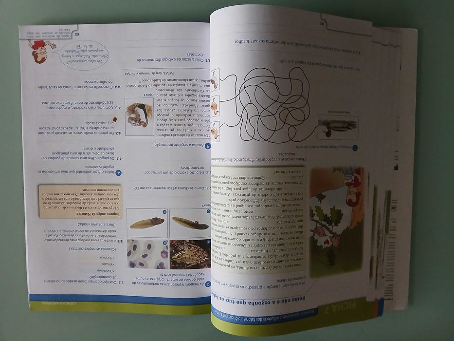 Cadernos de Revisão 5.º Ano (Português, Matemática, etc.)