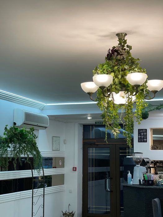 Оренда комерційного приміщення