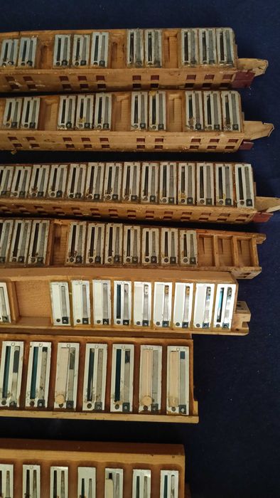 Głośnice  akordeonu 4 chóry dix