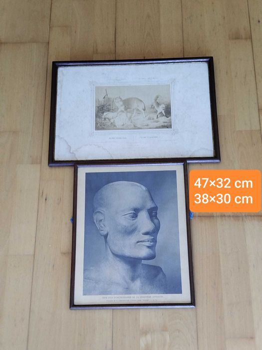 Quadros Antigos com Gravuras, molduras envidraçadas