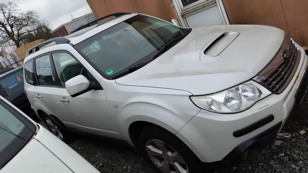 Subaru Forester boxer diesel