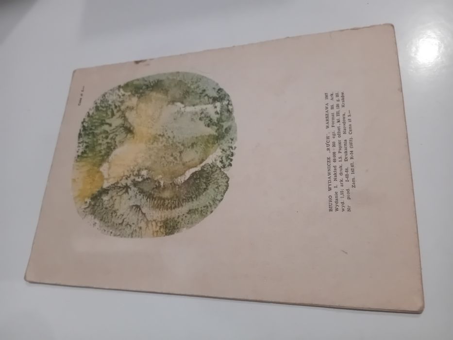 Maria Kowalewska Sapcio, Pufcio i.. nie wiadomo co
