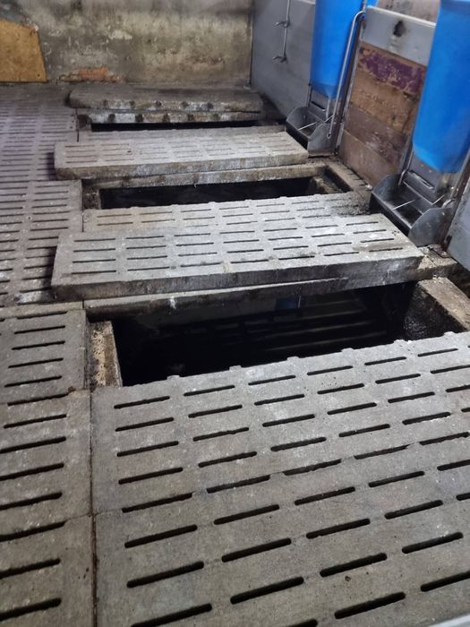 Продам сучасне підприємство свинофермуму