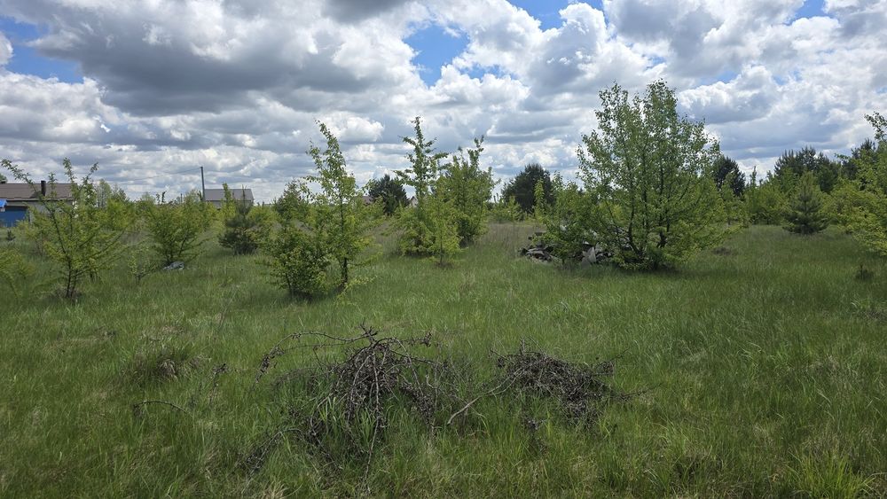 Продаж ділянки в районі новобудов с.Оліївка