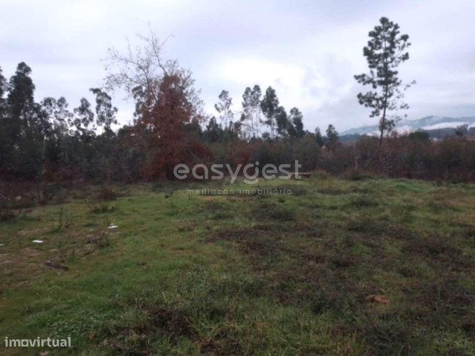 Terreno para construção, localizado em Canas de Santa Maria, Tondela